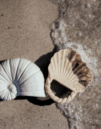 Jouet de dentition - nautilus + shell