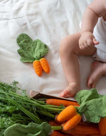 Anneau de dentition - Mini doudou Cathy the carrot