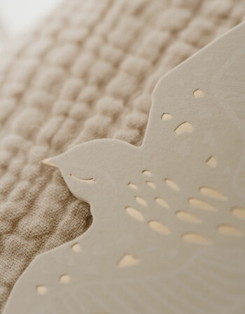 cartes étapes - birds