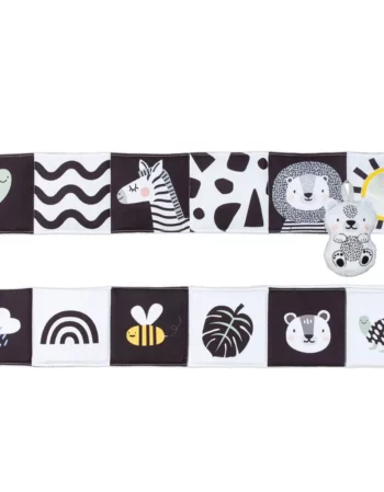 savannah black & white book