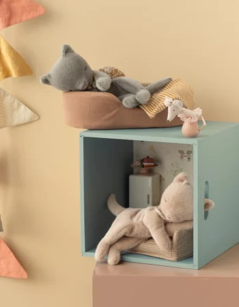 chaton couché - crème pêche