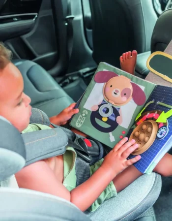 ride time busy book