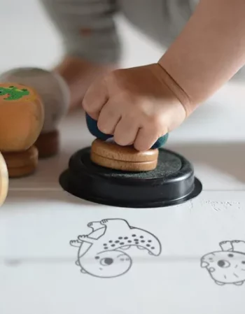 Mes Dou'Dou' Dinosaures à tamponner