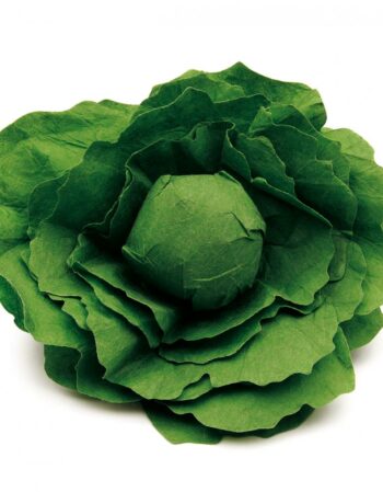 Dînette - salade